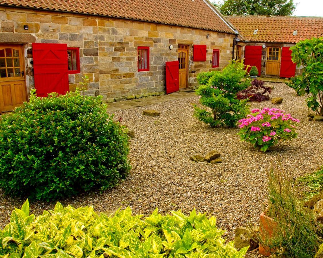Sebright Cottage, Borrowby Farm Cottages Staithes Exterior foto